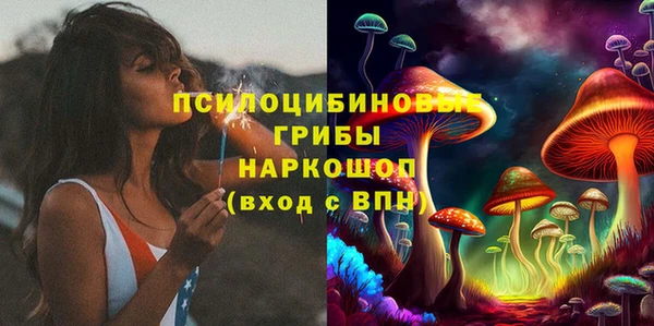 спайс Беломорск