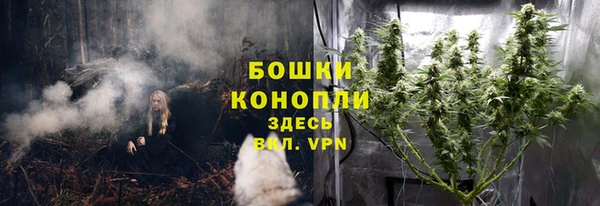 крисы Белокуриха