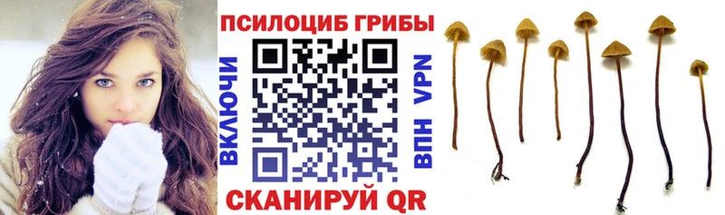 где найти   мега маркетплейс  Галлюциногенные грибы прущие грибы  Богданович 