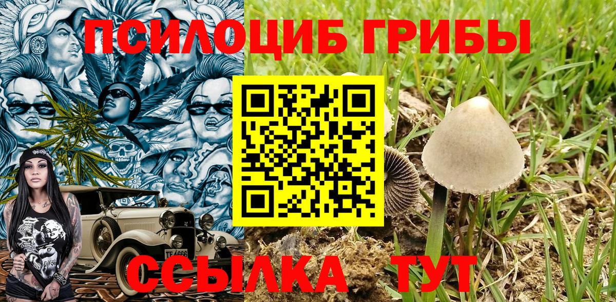 Псилоцибиновые грибы ЛСД  Вход с VPN  Богданович 
