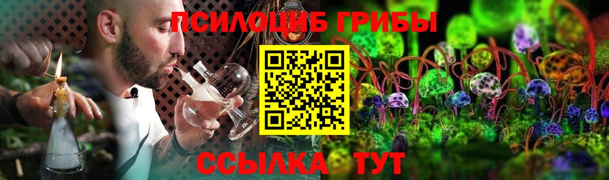 Галлюциногенные грибы мицелий  Богданович  Псилоцибиновые грибы ЛСД 